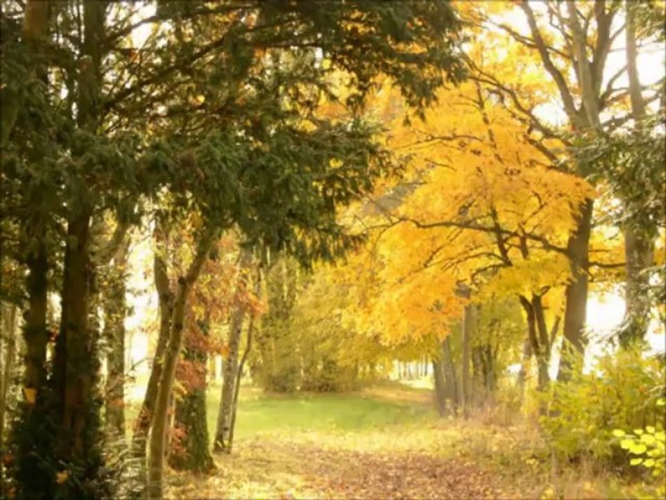Chambres d'hôtes Piscine Nature Parc Haute-Saône