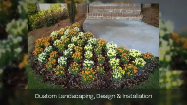 Lawn Maintenance | Pannone's Lawn Pros & Landscaping Call (678) 324-9020