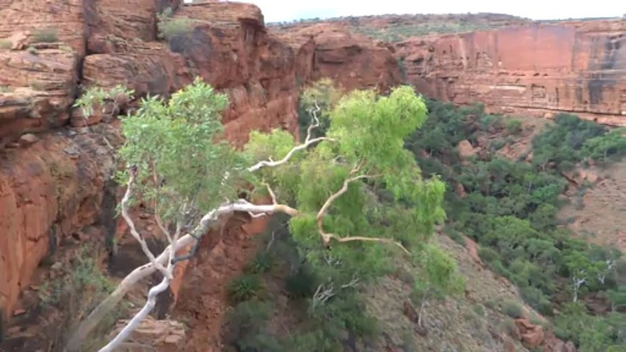 Australie- Kings Canyon: Toujours Enorme