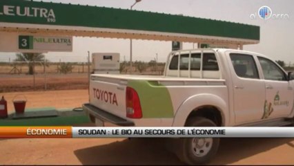 Soudan : Le bio au secours de l’économie