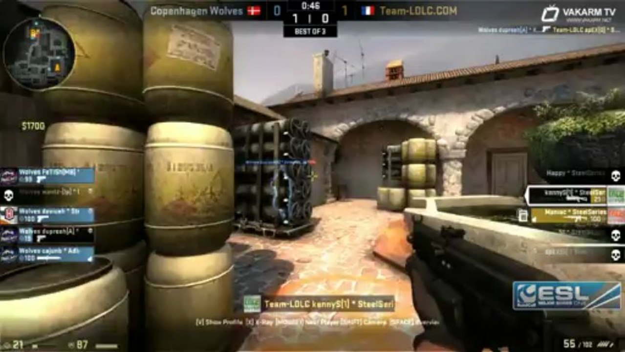 EMS Summer - LDLC vs Copenhagen Wolfes