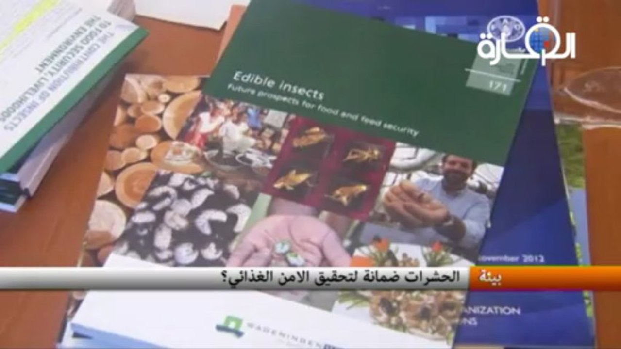 الحشرات ضمانة  لتحقيق الامن الغذائي؟