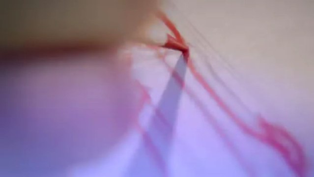 Journal TV du 13/03/2012