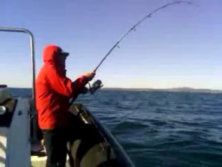 Thon rouge sur canne 20lbs