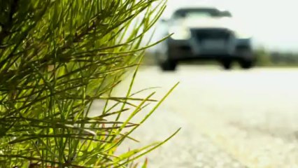 Audi Q5 2012 Trailer