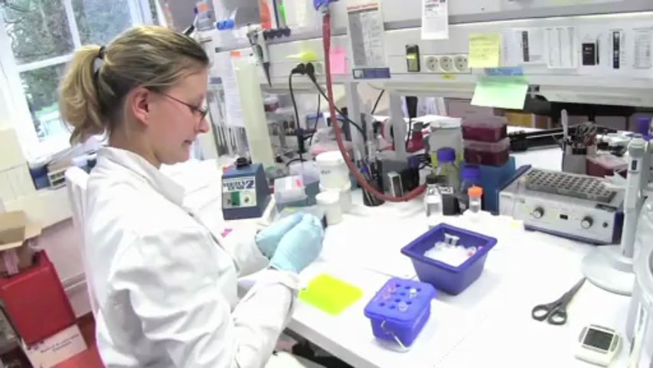 Institut Pasteur – Helicobacter pylori et cancers gastriques - Hilde De Reuse