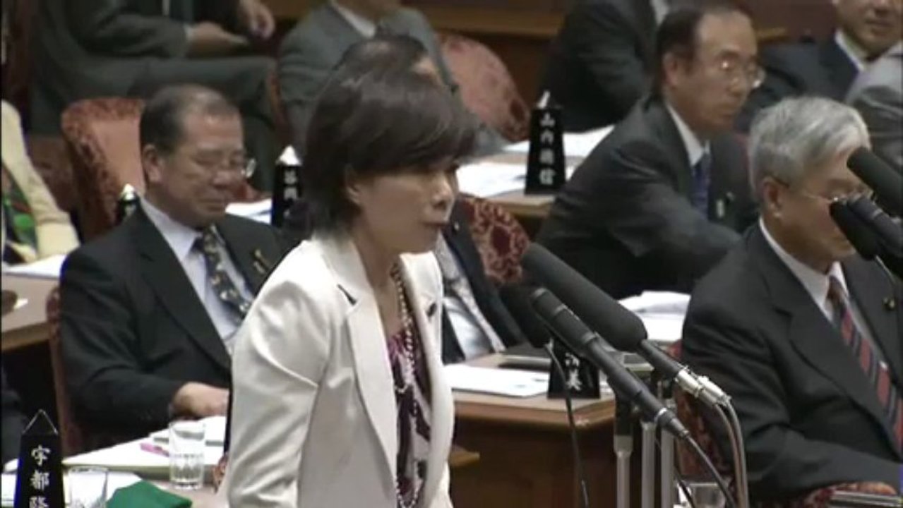 20130424 《索引付》参院予算委(生活党)森ゆうこ 柏崎苅羽 原発再稼働？