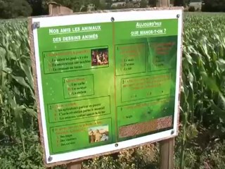 L'été de TLC - Ferme de la Dube