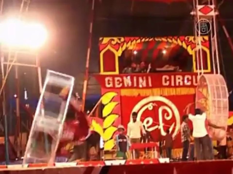 Цирковая индустрия Индии останется без диких животных