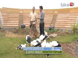 L'été de TLC - Zoo de La Boissière du Doré