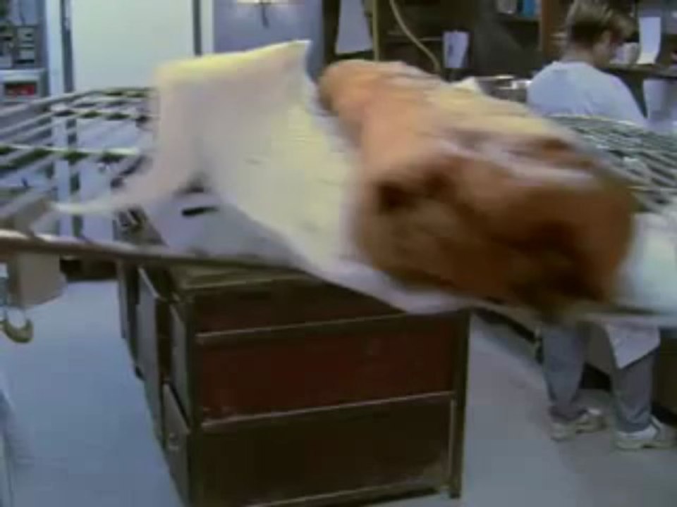 Vidéo : les spécialités alsaciennes de Noël