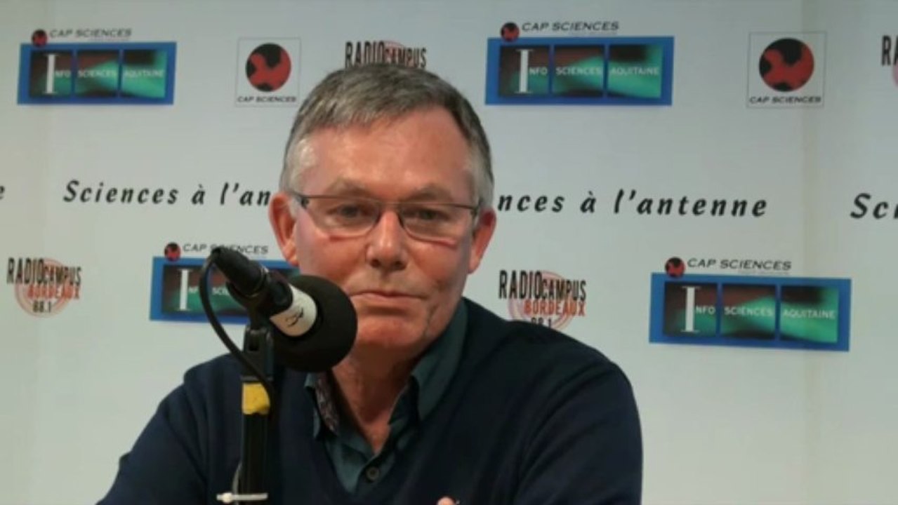 Quand l’imagerie révèle nos fonctions cérébrales