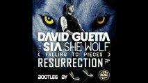 David Guetta Ft.Sia - She Wolf Resurrection (Falling To Pieces) (BuBu Dj Bootleg Remix)