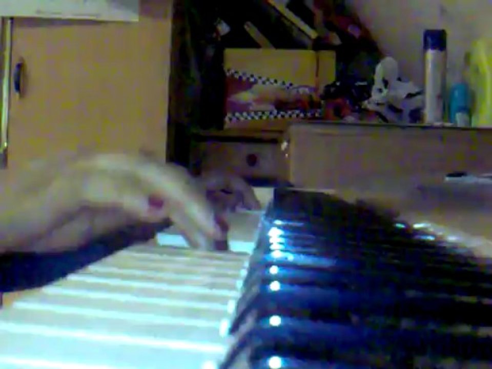 My songs without name