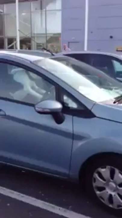 Dog honks car horn - Must watch