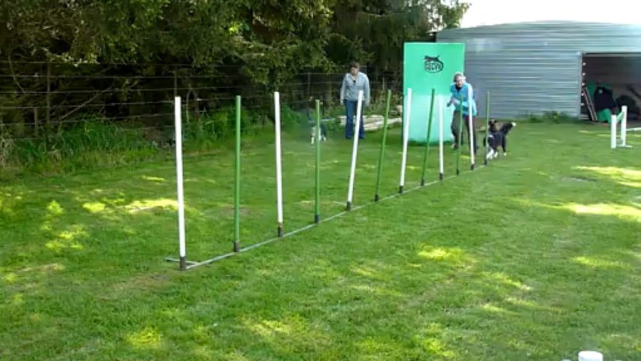 Slalom 2