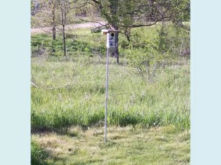 Choosing A Quality Bluebird House