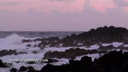 Stock Video - Stock Footage - Video Backgrounds - Tropical 0210