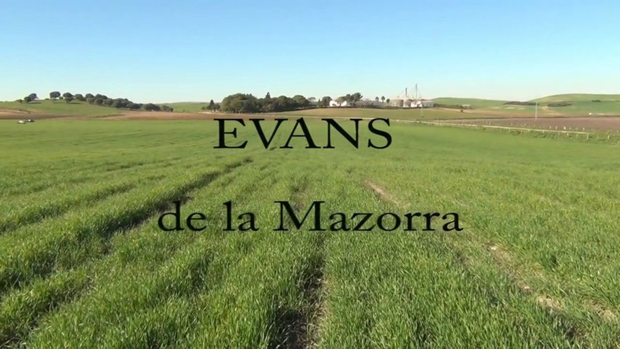 Evans de la Mazorra en Andalousie