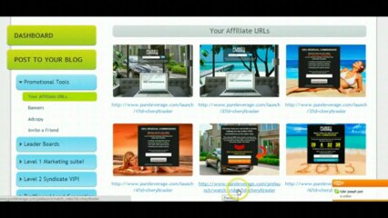 Pure Leverage Online Office LIVE