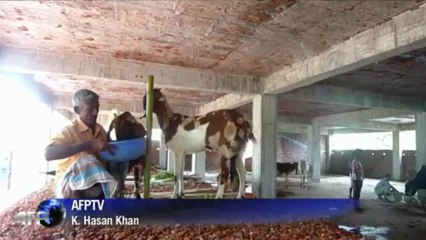 Cyclone slams into Bangladesh after mass evacuations