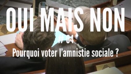 OUI MAIS NON #4 - Pourquoi voter l'amnistie sociale ?
