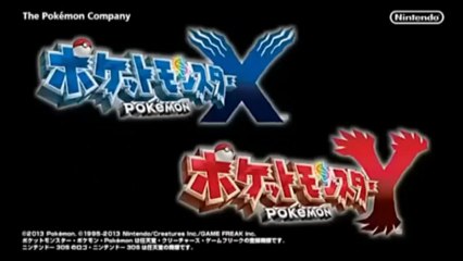 Pokémon Y - Animations des batailles