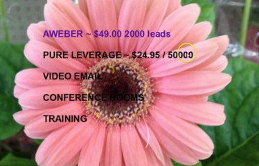 Pure Leverage Beats Competition