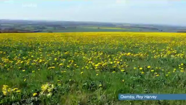 BBC Look North - Yorkshire & Lincolnshire - 15/5/13