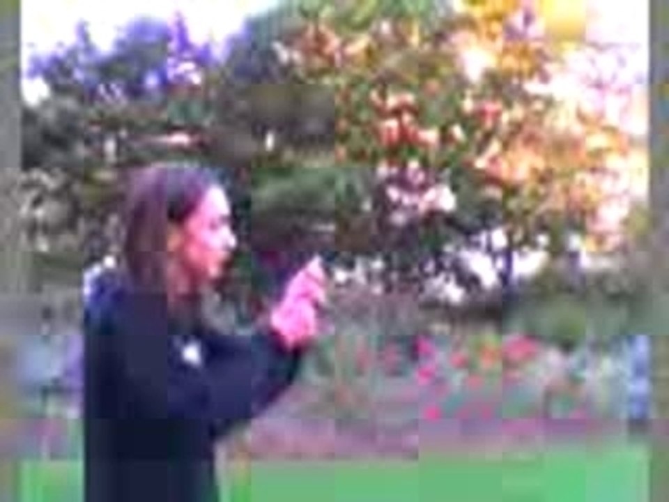 Crash sur briquet