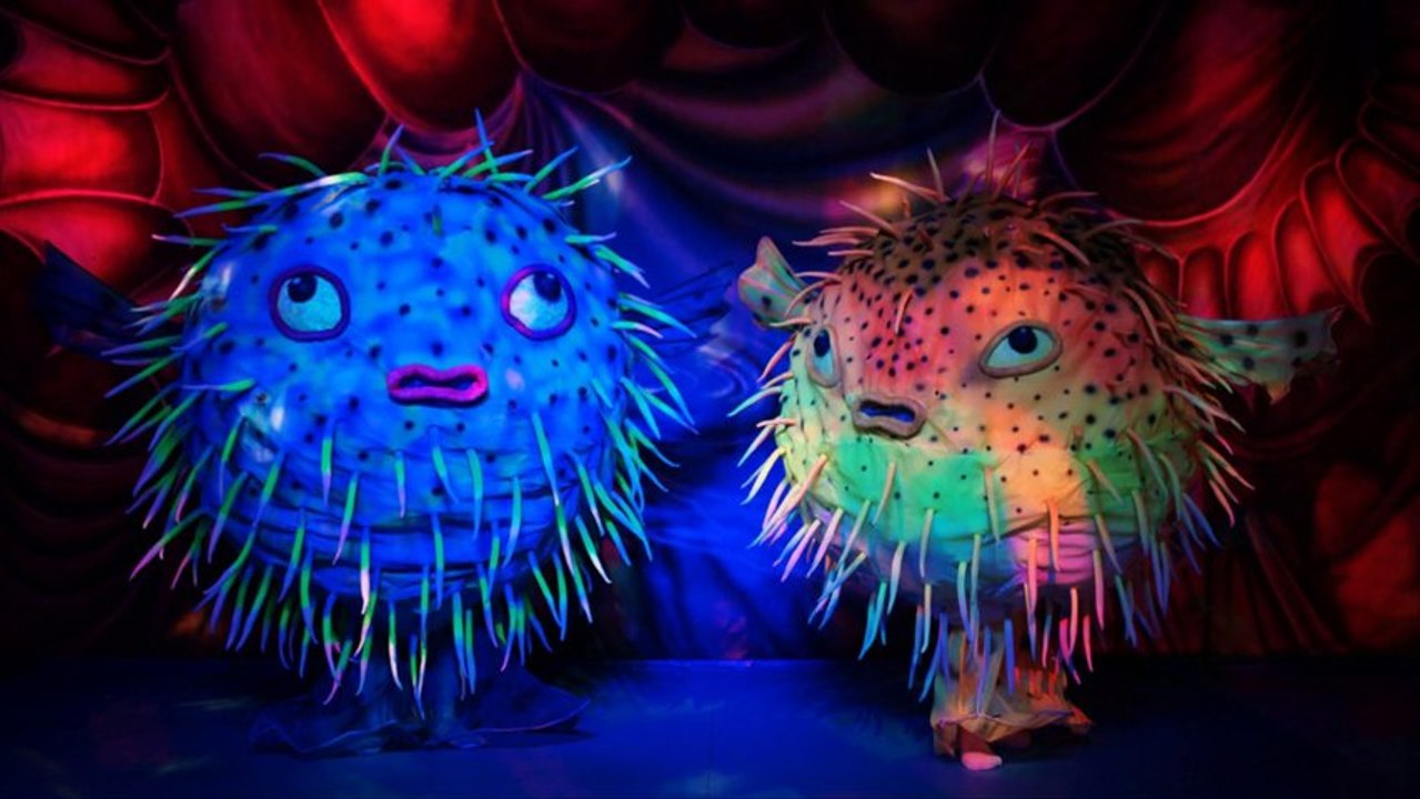 Human Blowfish ~ Veniamin Shows