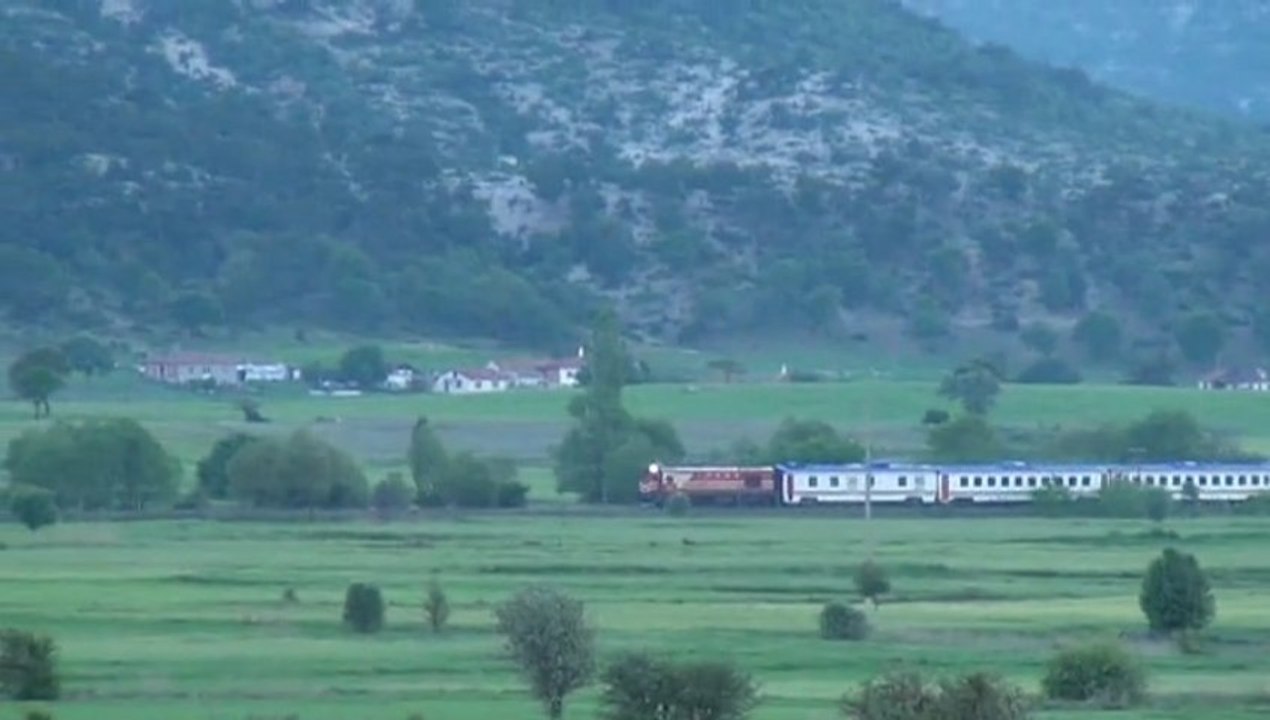 Tırtıl