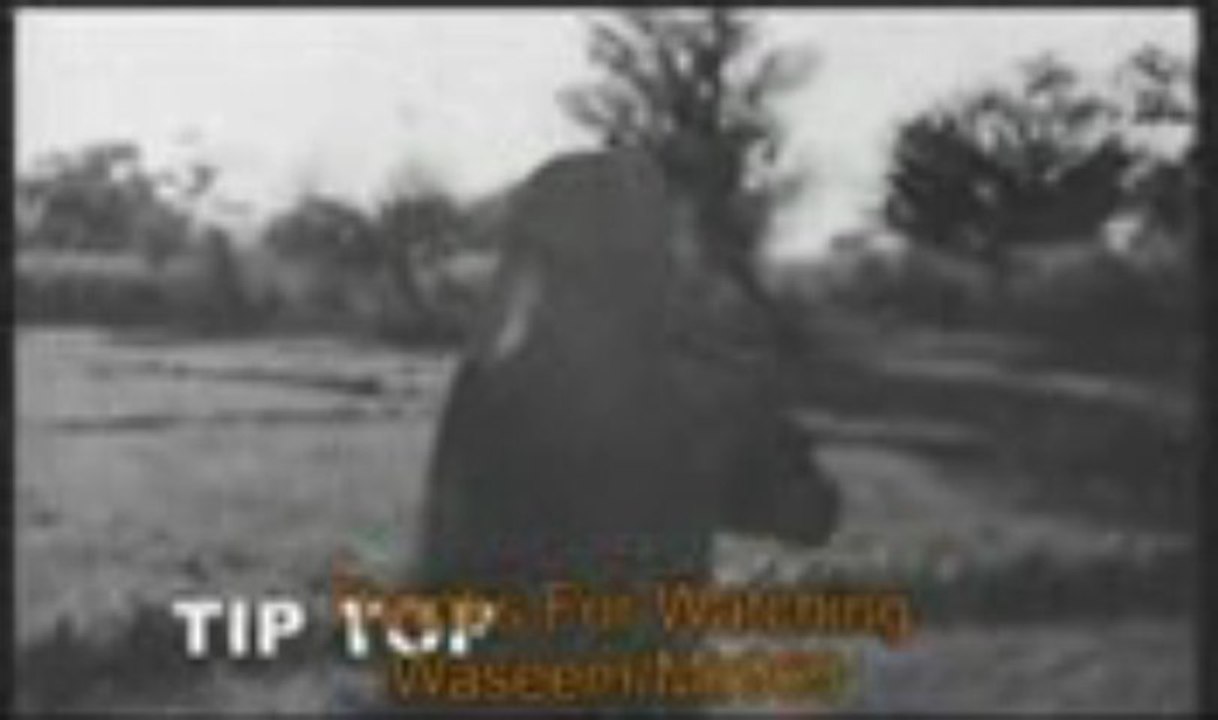 DIL DA JANI SAYYO NI MERE DIL DA JANI ( NOOR JEHAN )  By Aslam Nasir