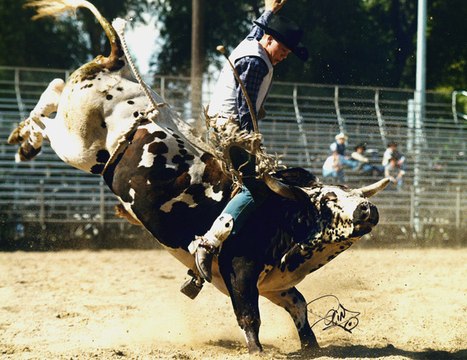Rodeo Clown Backflips Over Bull