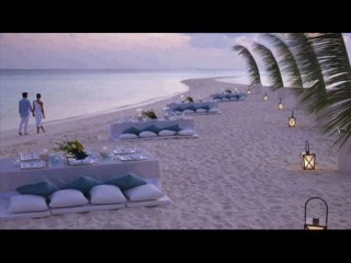 suskun geveze        sakın unutma       yeni