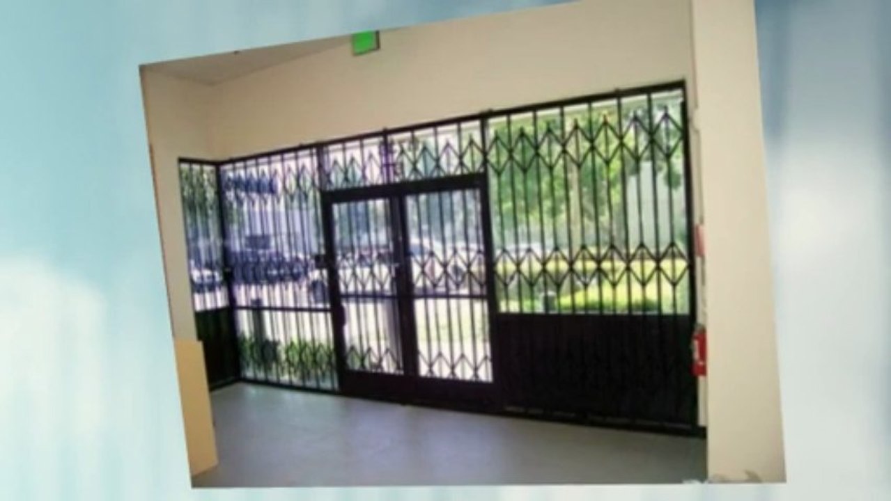 Folding Security Gate