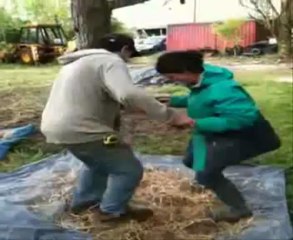 fabrication four à pizza en torchis