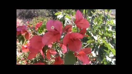 Kretanvilla 2 Agia Fotia