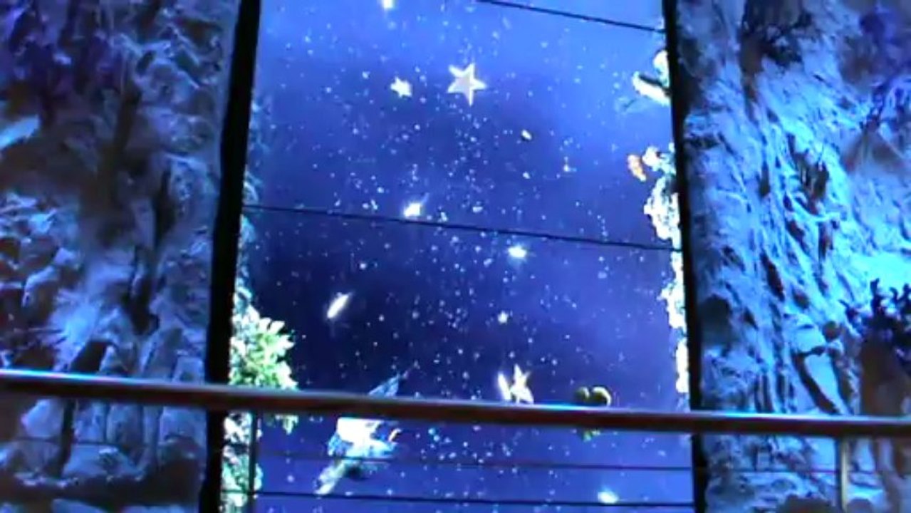 AIDAstella Hafen Reisebüro Fella  AIDAstella