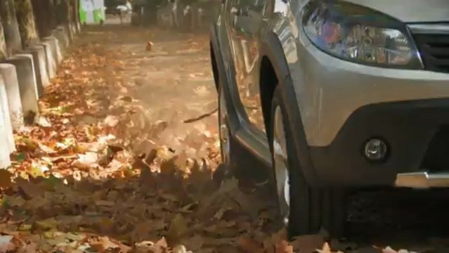 Essai Dacia Sandero Stepway 2009