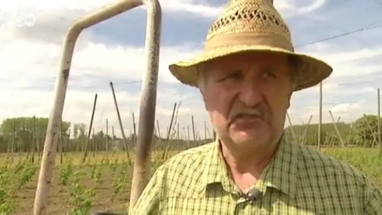 Kampf dem Bienentod - Deutschlands Bienen drohen auszusterben | Politik direkt