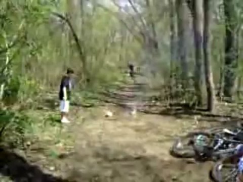 Tony Shepherd's Affordable Mentoring Newsletter | Tony Shepherd's Affordable Mentoring Newsletter