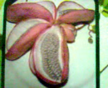 marabout voyant medium africain Grenoble Mr Abdel Tel 0687659941 Grenoble