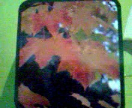 voyant medium marabout africain a Grenoble Mr Abdel Tel 0687659941 Grenoble