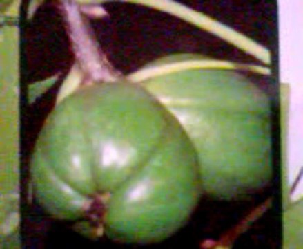 voyant marabout africain Grenoble Mr Abdel Tel.0687659941 Grenoble France