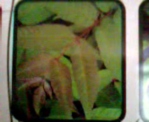 grand marabout voyant africain a Grenoble Mr.Abdel tel0687659941  Grenoble