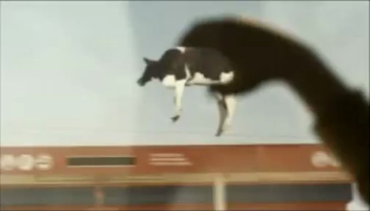 Pub "Citroën C4 Picasso"