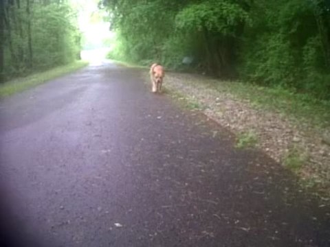 VID 00001-20130515-1340