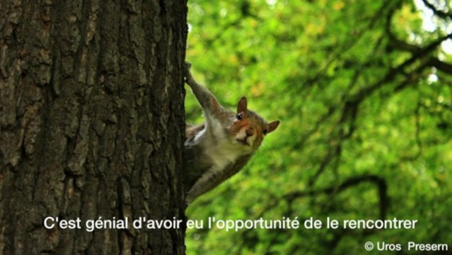 Les lauréats du concours Children's Eyes on Earth