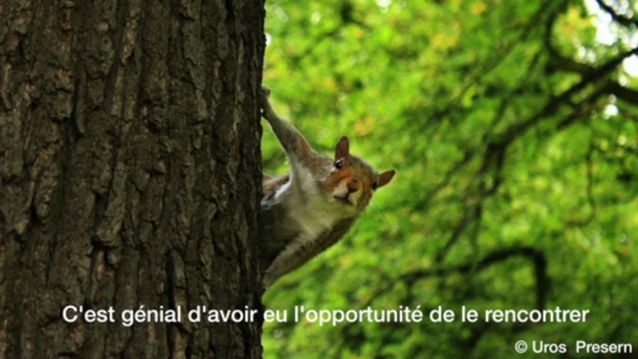 Les lauréats du concours Children's Eyes on Earth